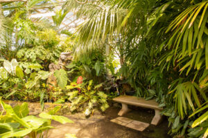 Stone bench inside Foster's Botanical Garden's Orchid Conservatory