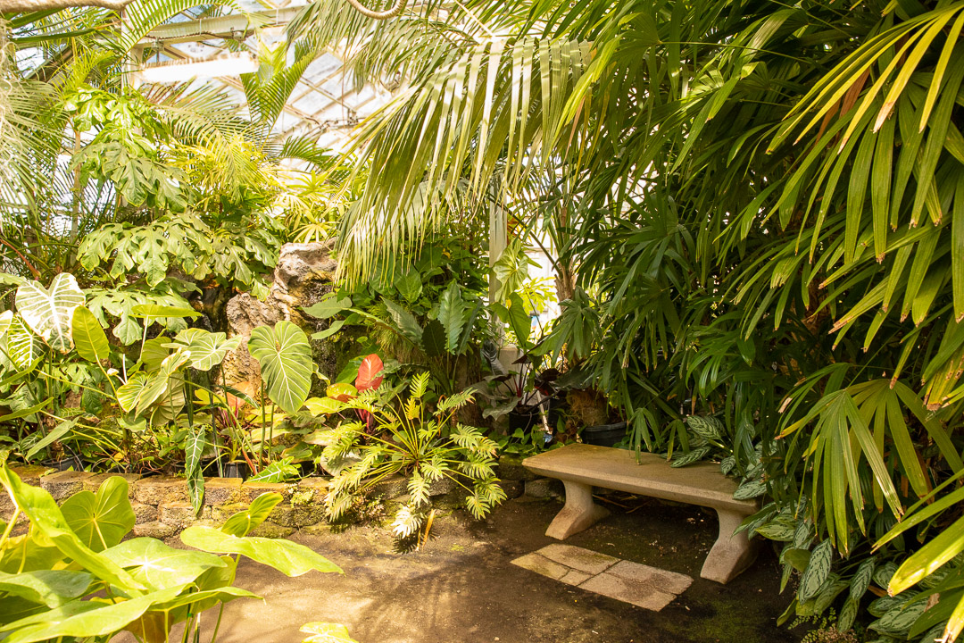 Stone bench inside Fosters Botanical Gardens Orchid Conservatory