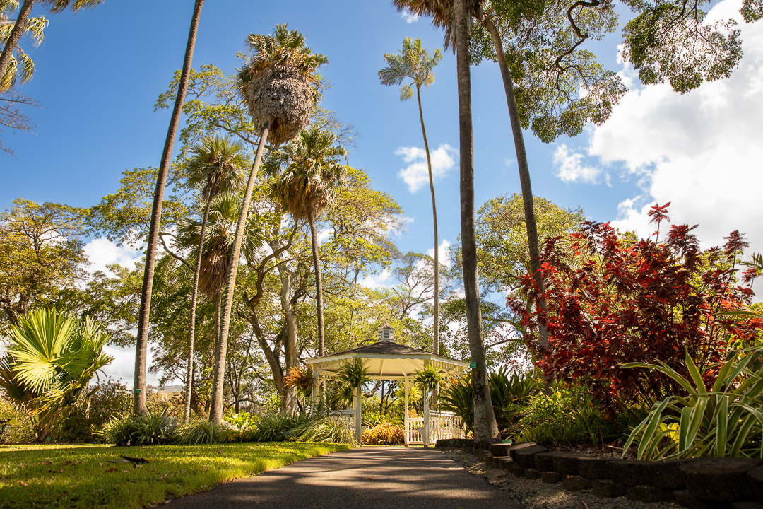 Gazebo nestled in Foster's Botanical Garden surrounded by tall trees and bathed in sunlight